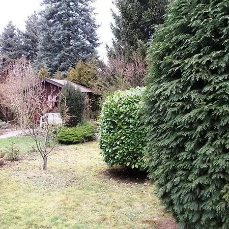 Corso Apartman Bük